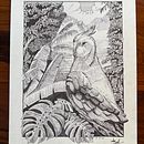 Mi proyecto del curso: Ilustración con tinta y plumilla: captura el mundo natural. Un projet de Esquisse , Dessin, Dessin artistique, Carnet de croquis, Illustration à l'encre et Illustration naturaliste de lionelvivas - 05.11.2022