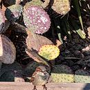 Travels and Treasures. Projekt z dziedziny Trad, c i jna ilustracja użytkownika Beverly Rivard - 06.11.2022