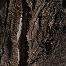 Textura. Een project van Fotografie van Asmae Gawsi - 06.11.2022