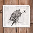 Inktober 2022 Ein Projekt aus dem Bereich Traditionelle Illustration, Skizzenentwurf, Zeichnung, Sketchbook und Illustration mit Tinte von Chloé Levasseur - 23.10.2022