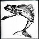 Ranallena Rana + Ballena (Animalario 1). Een project van Traditionele illustratie, Tekening met potlood,  Tekening,  Schetsen, Naturalistische illustratie,  Ontwerp y Sketchbook van Alberto Serrano Casaus - 07.11.2022
