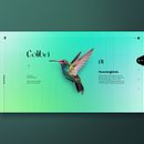 Colibri — Web Design. Un proyecto de Diseño Web, UX / UI y Diseño interactivo de Marko Shiba - 05.11.2022