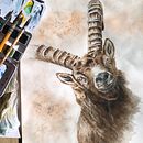 Mon projet du cours : Portraits expressifs d'animaux à l'aquarelle. Ilustração tradicional, Pintura em aquarela, Desenho realista e Ilustração naturalista projeto de catherine.bergiron - 07.11.2022