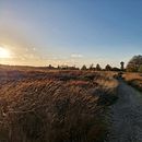 Pictures in the countryside ( hautes Fagnes). Fotografia projeto de dgedineco - 07.11.2022