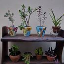 Meu projeto do curso: Pintura decorativa em móveis com tinta acrílica. Un proyecto de DIY, Carpintería, Pintura decorativa, Restauración, upc y cling de muebles de Carol Nabeiro - 05.11.2022