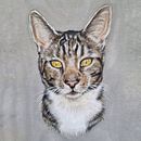Realistic pet portraits. Een project van  Portrettekening van _kristi_s - 09.11.2022
