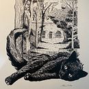 Il mio progetto del corso: Illustrazione con inchiostro e pennino: rappresenta la natura . % Elena Craba tarafından hazırlanan Eskiz çizimi, Çizim, Sanatsal Çizim, Eskiz defteri, Mürekkep İllüstras, onu, Doğalcı İllüstras, Ve on projesi - 11.11.2022