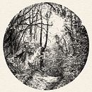 Forest Drawing. Drawing, Fine Arts & Ink Illustration project by Fujiko Rose - 11.13.2022