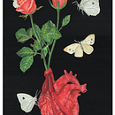 ORGANS: Heart Illustration. Traditional illustration, Editorial Design, Education, Fine Arts, Painting, Sketching, Creativit, Drawing, Poster Design, Concept Art, Realistic Drawing, Artistic Drawing, Instagram, Botanical Illustration, Naturalistic Illustration, Gouache Painting, and Picturebook project by MYC A - 10.24.2022