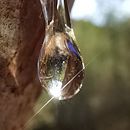 Mi proyecto del curso: Fotografía de viajes con smartphone para principiantes . Fotografi Seluler, Fotografi Luar Ruang, Dan Fotografi Instagram proyek oleh joseveraseo - 12.14.2022