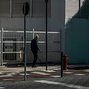 Meu projeto do curso: Fotografia para iniciantes: descubra sua câmera digital. Een project van Fotografie, Digitale fotografie y Fotografische compositie van Fernanda Machado de Oliveira - 16.11.2022