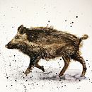 Wild Zwijn Ein Projekt aus dem Bereich Traditionelle Illustration von bertineke - 20.11.2022