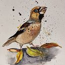 Appelvink Ein Projekt aus dem Bereich Traditionelle Illustration von bertineke - 18.11.2022