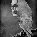 Kali Yuga Collages - Souvenirs from the End of the World (extracto) Ein Projekt aus dem Bereich Collage von Javier M. Vadillo - 19.11.2022