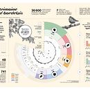 Visualisation de données : parc arboré bordelais. Un proyecto de Diseño de la información, Diseño interactivo e Infografía de Marie Dufay - 24.11.2022