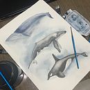 Meu projeto do curso: Técnicas de ilustração naturalista: baleias em aquarela. Un proyecto de Ilustración tradicional, Diseño de carteles, Ilustración digital y Manga de Juliana Silva - 26.11.2022