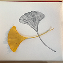 Botanical Prints. Ilustração tradicional projeto de sainab_ch - 26.11.2022