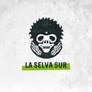 Video Promo | La Selva Sur Ein Projekt aus dem Bereich 2-D-Animation, Motion Graphics, Musik und Werbung von Alicia Díaz - 04.03.2022