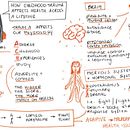 My project for course: Sketchnoting: Communicate with Visual Notes. Een project van Traditionele illustratie,  Creativiteit,  Tekening, Communicatie, Management En Productiviteit y Business van Ann Lambert - 27.11.2022