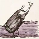 Meu projeto do curso: Sketching diário para inspiração criativa Ein Projekt aus dem Bereich Traditionelle Illustration, Skizzenentwurf, Kreativität, Zeichnung und Sketchbook von Thiene Alves - 28.11.2022