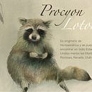 Mi proyecto del curso: Ilustración naturalista de animales con Procreate. Un proyecto de Ilustración tradicional, Ilustración digital, Dibujo realista e Ilustración naturalista				 de Tania Coello - 29.11.2022