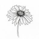 Ink Sketches. Un progetto di Artigianato, Bozzetti e Disegno di Sarah - 29.11.2022