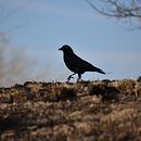 Portfólio pessoal . Fotografie de Ananda Tuma - 11.30.2022