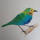 Mi proyecto del curso: Ilustración naturalista de aves con acuarela. Traditional illustration, Watercolor Painting, Realistic Drawing, and Naturalistic Illustration project by Juan Pablo Rueda Bedoya - 12.01.2022