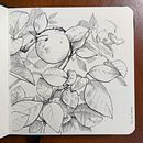 My project for course: Illustrated Diary: Fill Your Sketchbook with Experiences. Een project van Traditionele illustratie,  Schetsen,  Tekening, Sketchbook y  Illustratie met inkt van not_important - 02.12.2022