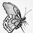 Butterflies Ein Projekt aus dem Bereich Traditionelle Illustration von charlene_morinoca - 28.07.2022