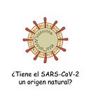 ¿Tiene el SARS-CoV-2 un origen natural? . Educație de Luis Jose Delaye Arredondo - 11.28.2020
