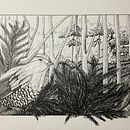 Mi proyecto del curso: Ilustración con tinta y plumilla: captura el mundo natural. Un projet de Esquisse , Dessin, Dessin artistique, Carnet de croquis, Illustration à l'encre et Illustration naturaliste de Constanza - 04.12.2022