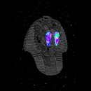 My project for course: Psychedelic Animation with Photoshop and After Effects. Un progetto di Motion graphics, Postproduzione fotografica, 3D e Animazione 3D di Mustafa Mahmoud - 02.12.2022
