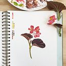 Sketchbook Botanicals . Un proyecto de Ilustración tradicional, Ilustración botánica y Pintura a la acuarela de Georgina Taylor - 07.12.2022