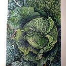 Il mio progetto del corso: Illustrazione botanica con acquerello. Un proyecto de Ilustración tradicional, Pintura a la acuarela, Ilustración botánica, Bellas Artes, Pintura y Dibujo de giusi.calli - 08.11.2022