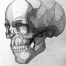 Mi proyecto del curso: Ilustración con tinta y plumilla: captura el mundo natural. Sketching, Drawing, Artistic Drawing, Sketchbook, Ink Illustration, Naturalistic Illustration, and Music project by José Alejandro Gutiérrez soza - 11.30.2022