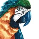 Pantanal. Projekt z dziedziny Trad, c, jna ilustracja, Malowanie akwarelą, Ilustracja naturalist i czna użytkownika Gabriela Duré - 10.12.2022