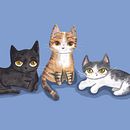 Cute Cats Collection. Projekt z dziedziny Trad, c i jna ilustracja użytkownika Gus Bassi - 10.12.2022