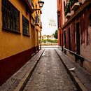 Mi proyecto del curso: Un paseo de vuelta del cole........ Een project van Fotografie y Digitale fotografie van Nacho Sánchez - 13.12.2022