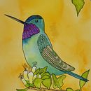 Watercolour Birds. Een project van Aquarelschilderen y Traditionele illustratie van Jeff Willis - 13.12.2022