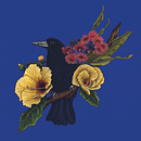 My project for course: Natural Illustration with Digital Painting. Un projet de Illustration traditionnelle, Dessin, Illustration numérique, Dessin réaliste, Peinture numérique et Illustration naturaliste de Sofi Fortunato - 09.12.2022