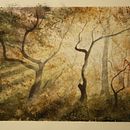 Mi proyecto del curso: Paisajes de ensueño con acuarela: plasma la luz Ein Projekt aus dem Bereich Malerei und Aquarellmalerei von Jose Antonio Muñoz Díez - 14.12.2022