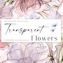 Watercolor transparent Flowers  . % Olga Koelsch tarafından hazırlanan Sulubo, a Resim, Çiçek ve Bitki Tasarımı, Geleneksel illüstras, on, Desen Tasarımı, Güzel sanatlar, Tablo, Poster Tasarımı, Konsept Sanatı, Gerçekçi Çizim, Botanik İllüstras, Ve on projesi - 12.14.2022