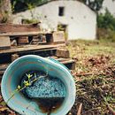Día de otoño en el bosque . Fotografi proyek oleh joseveraseo - 12.14.2022