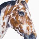 Appaloosa Horse. Un proyecto de Bellas Artes de Cole McNair - 14.12.2022