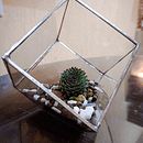 Terrón de mi tierra . Un progetto di Interior design, Paesaggismo, Interior Design, DIY e Design floreale e vegetale di Joshue Fernandez Oseguera - 13.12.2022