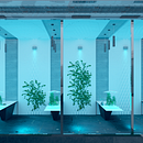Centro de investigación e innovación agropecuaria . Un projet de Architecture de Edilson Segura - 17.12.2022