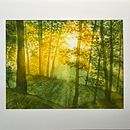 My project for course: Dreamy Watercolor Landscapes: Paint with Light . Lukisan, Dan Lukisan Cat Air proyek oleh reedbill947 - 12.18.2022