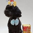 Mi proyecto del curso: Fotografía profesional para Instagram. Publicidade, Fotografia, Marketing, Redes sociais, Fotografia com celular, Mobile Marketing, Instagram, e Fotografia para Instagram projeto de claudiacarballo2307 - 18.12.2022