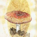 My project for course: Illustrating Nature: A Creative Exploration. Een project van Traditionele illustratie, Schilderij,  Tekening, Aquarelschilderen,  Illustratie met inkt y Naturalistische illustratie van karlee_bertola - 21.12.2022